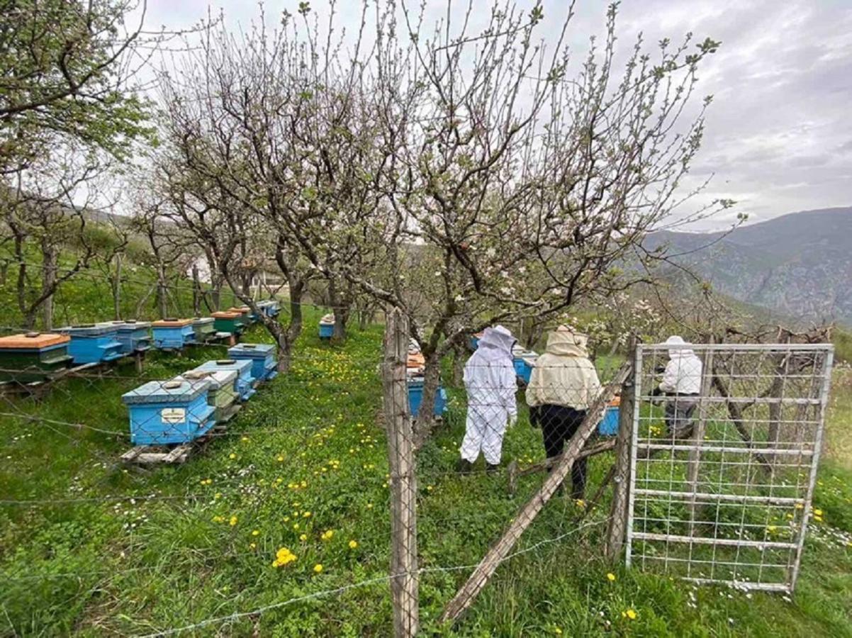 Cottage Modrich Στρούγκα Εξωτερικό φωτογραφία