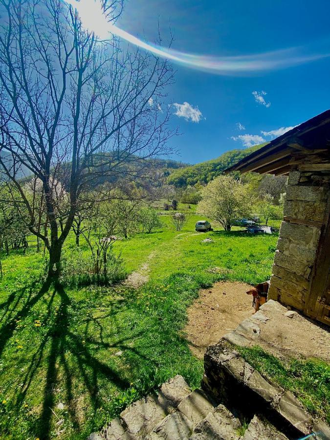 Cottage Modrich Στρούγκα Εξωτερικό φωτογραφία