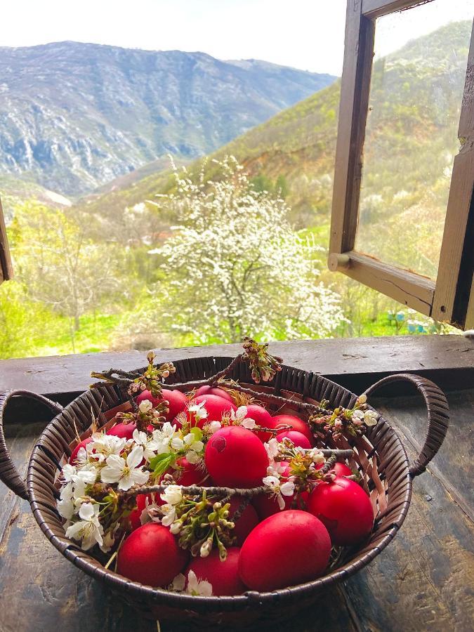Cottage Modrich Στρούγκα Εξωτερικό φωτογραφία