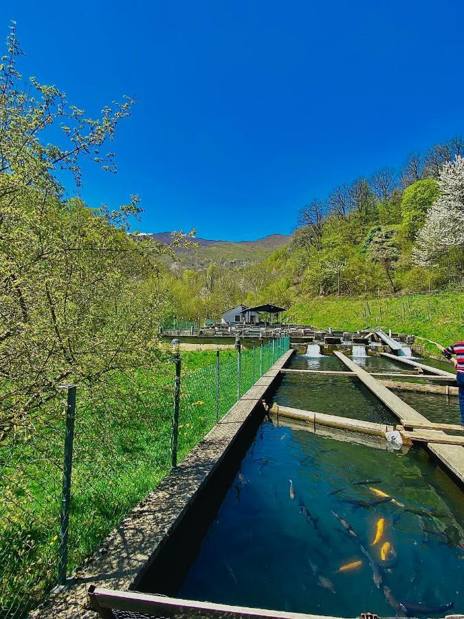 Cottage Modrich Στρούγκα Εξωτερικό φωτογραφία