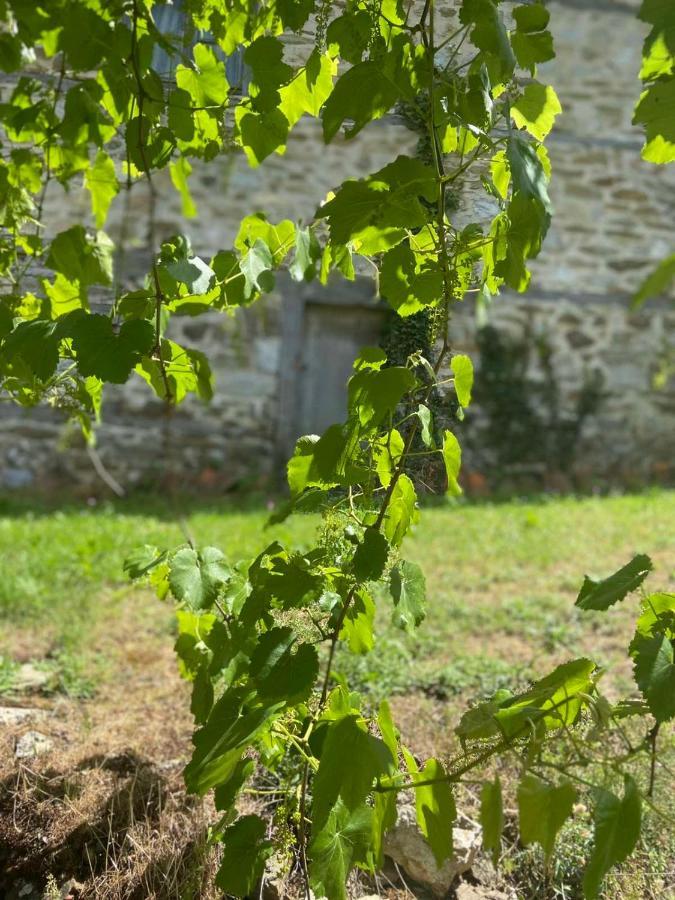 Cottage Modrich Στρούγκα Εξωτερικό φωτογραφία