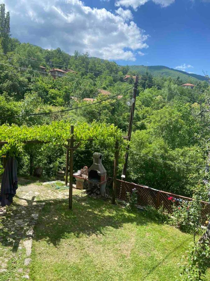 Cottage Modrich Στρούγκα Εξωτερικό φωτογραφία